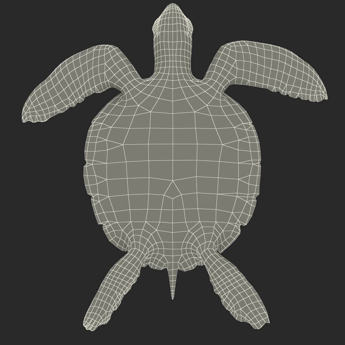 Sea Turtle Pose 3 3D