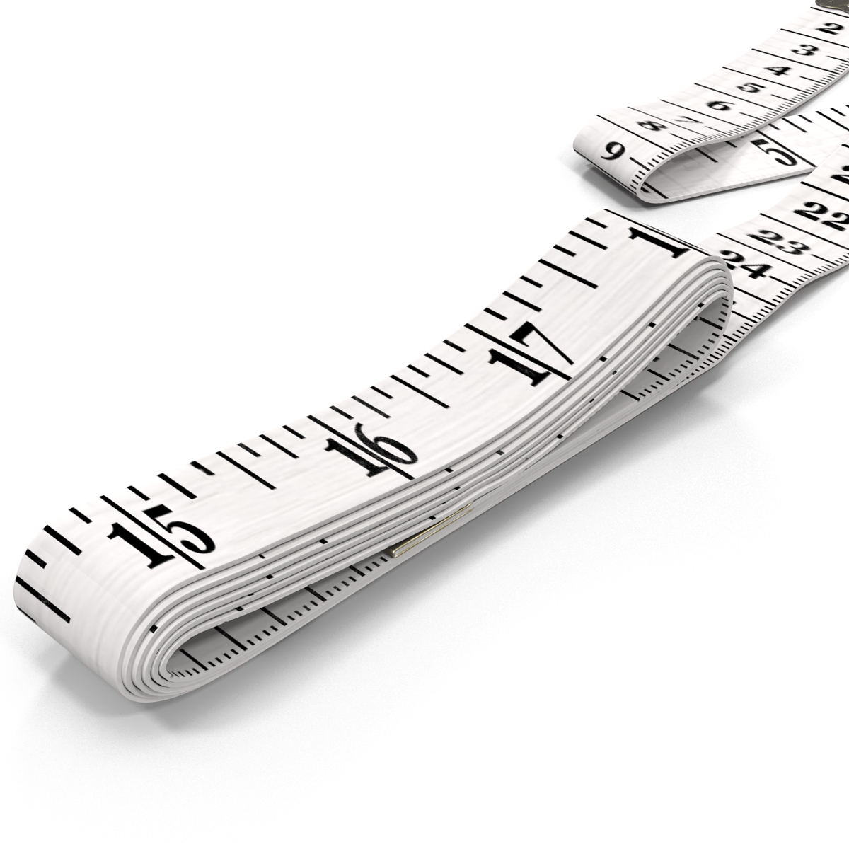 Tailor Meter 3 3D model