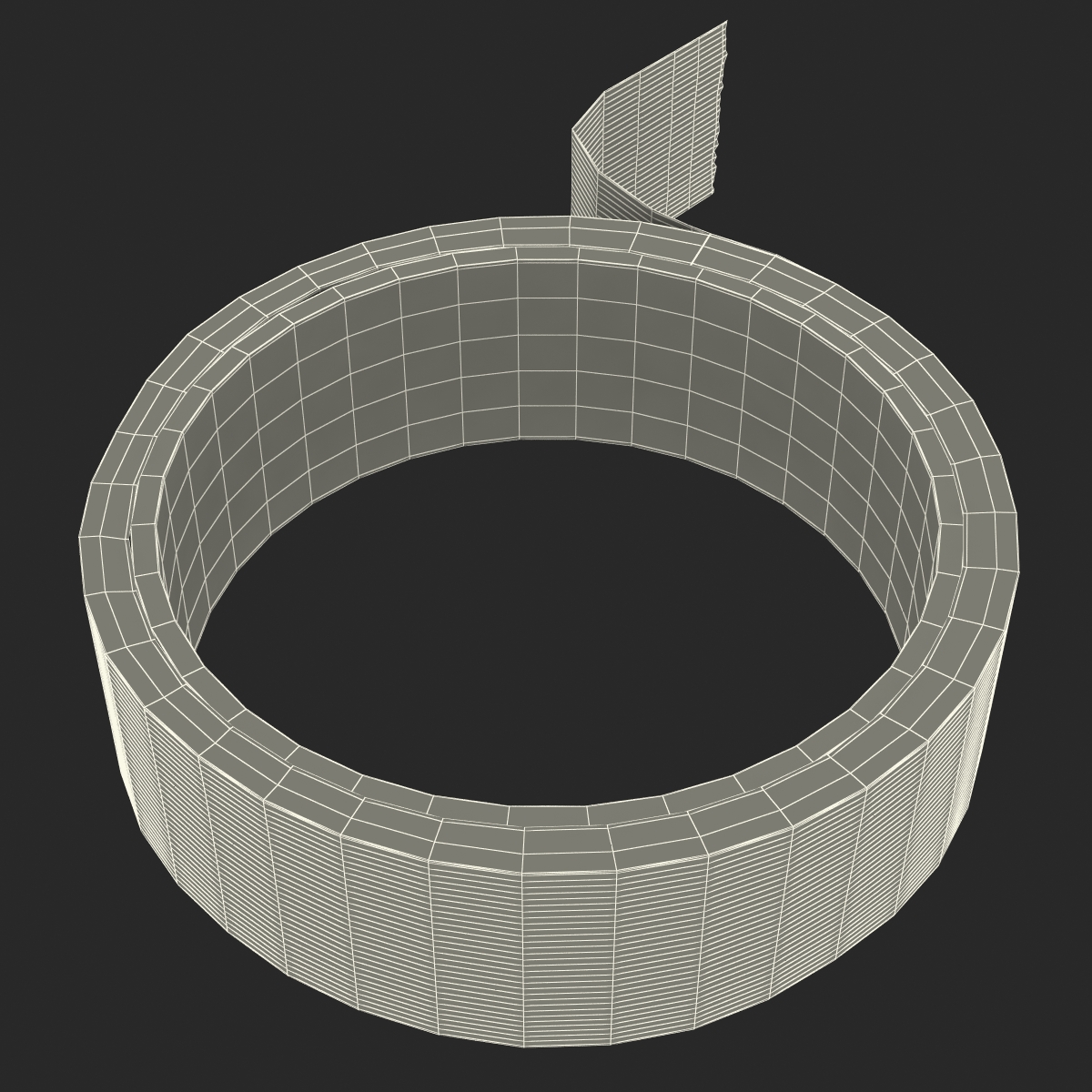 Masking Tape 2 3D model