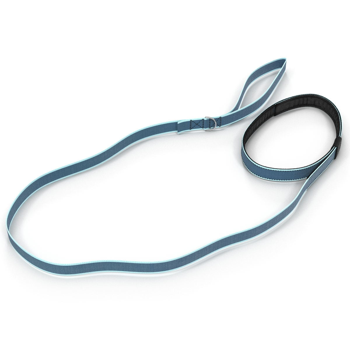 Dog Leash 3D model