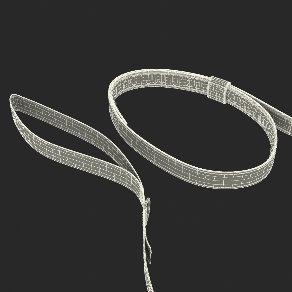 Dog Leash 3D model