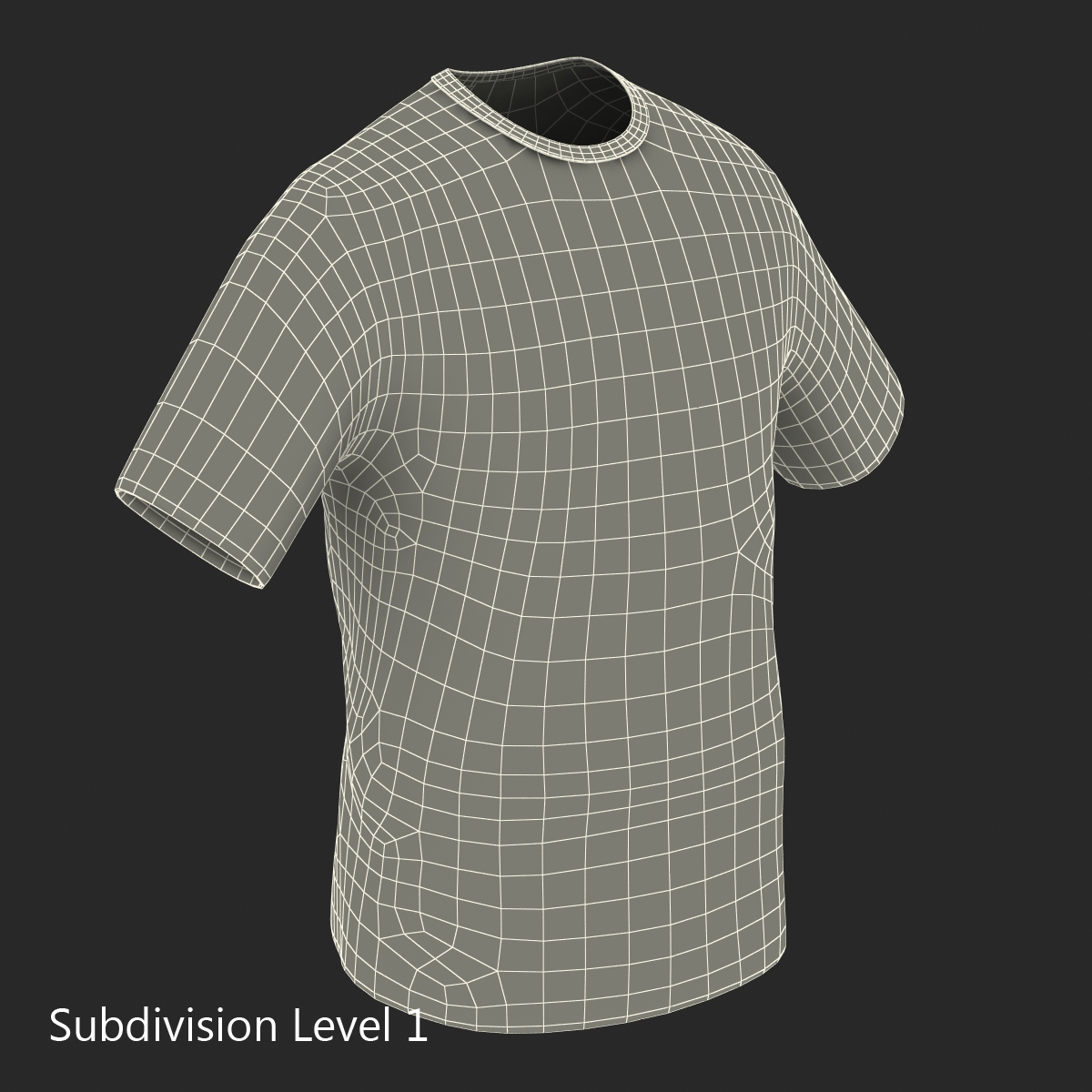 3D T Shirt Milan model