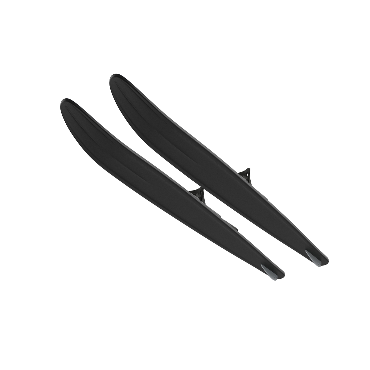 Waterskis 3D model