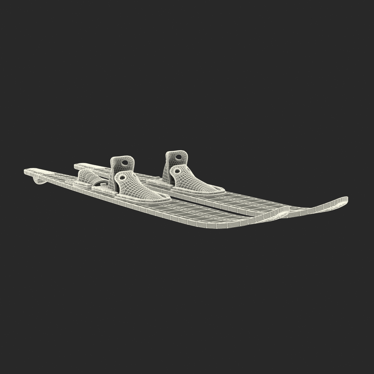 Waterskis 3D model