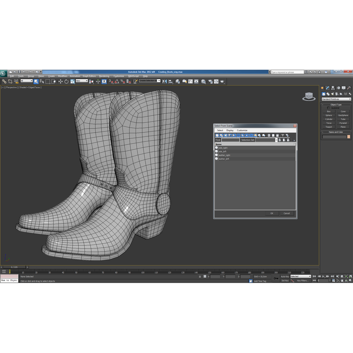 Cowboy Boots 3D