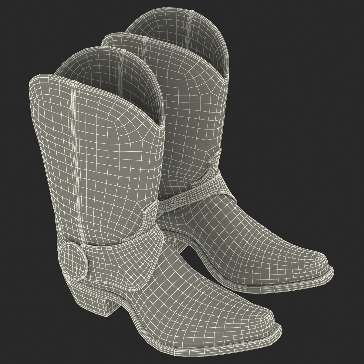 Cowboy Boots 3D