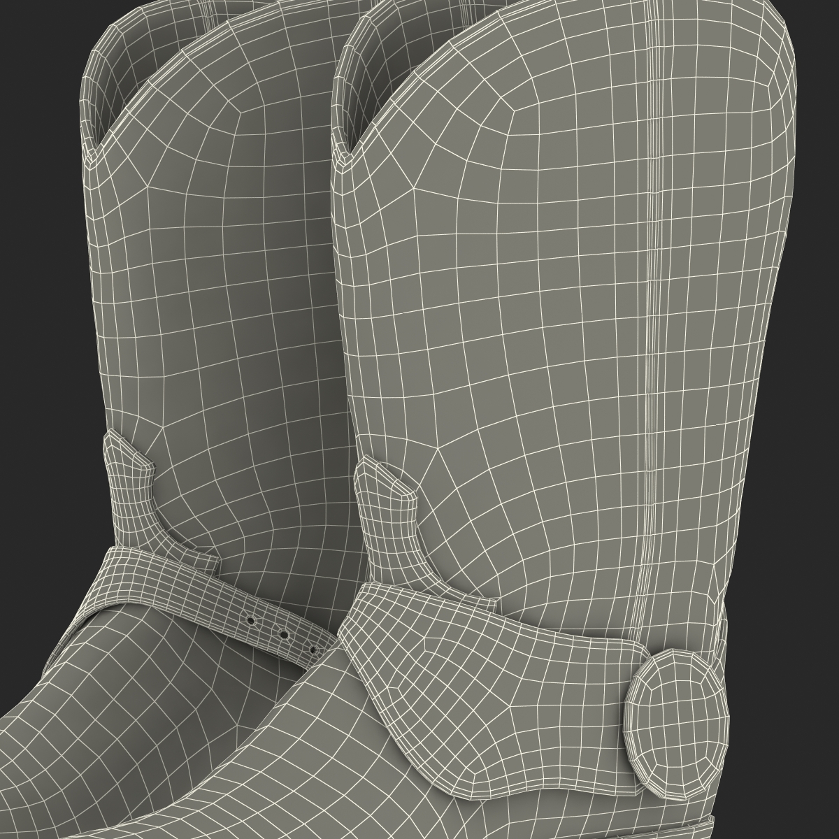 Cowboy Boots 3D