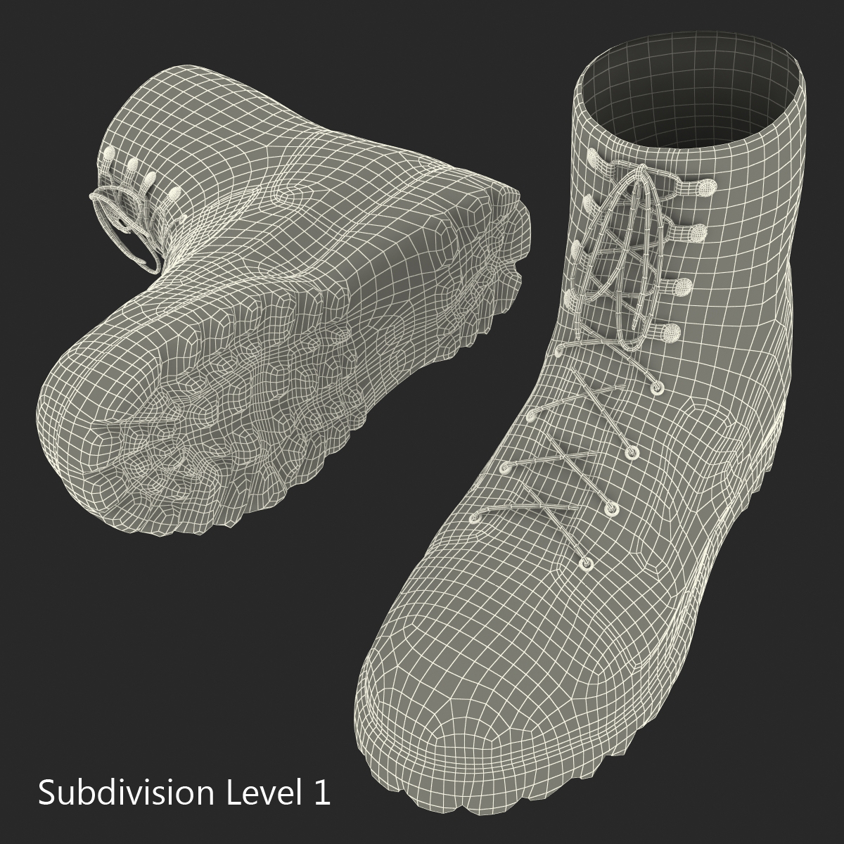 Tactical Boots 3D model