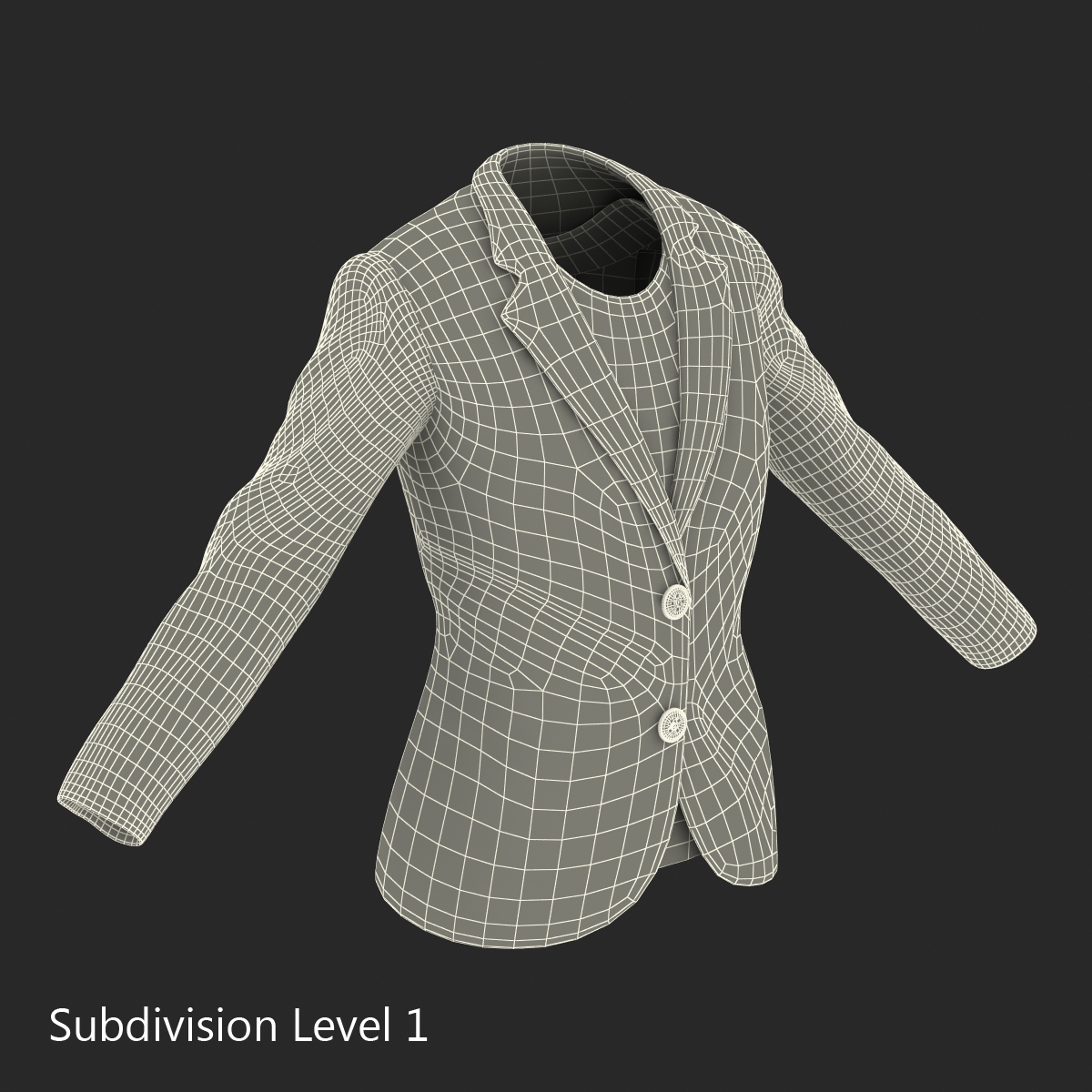 Women Suit Jacket 3D