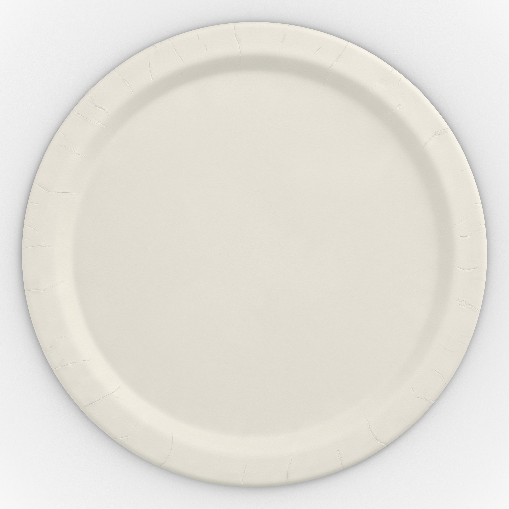 3D Paper Plate