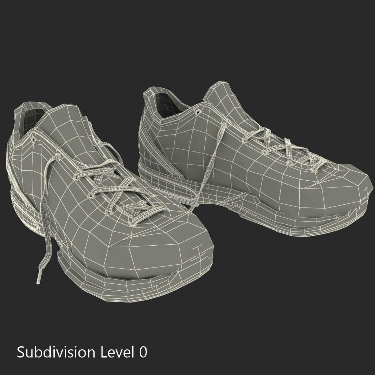 3D Sneakers Nike Zoom model