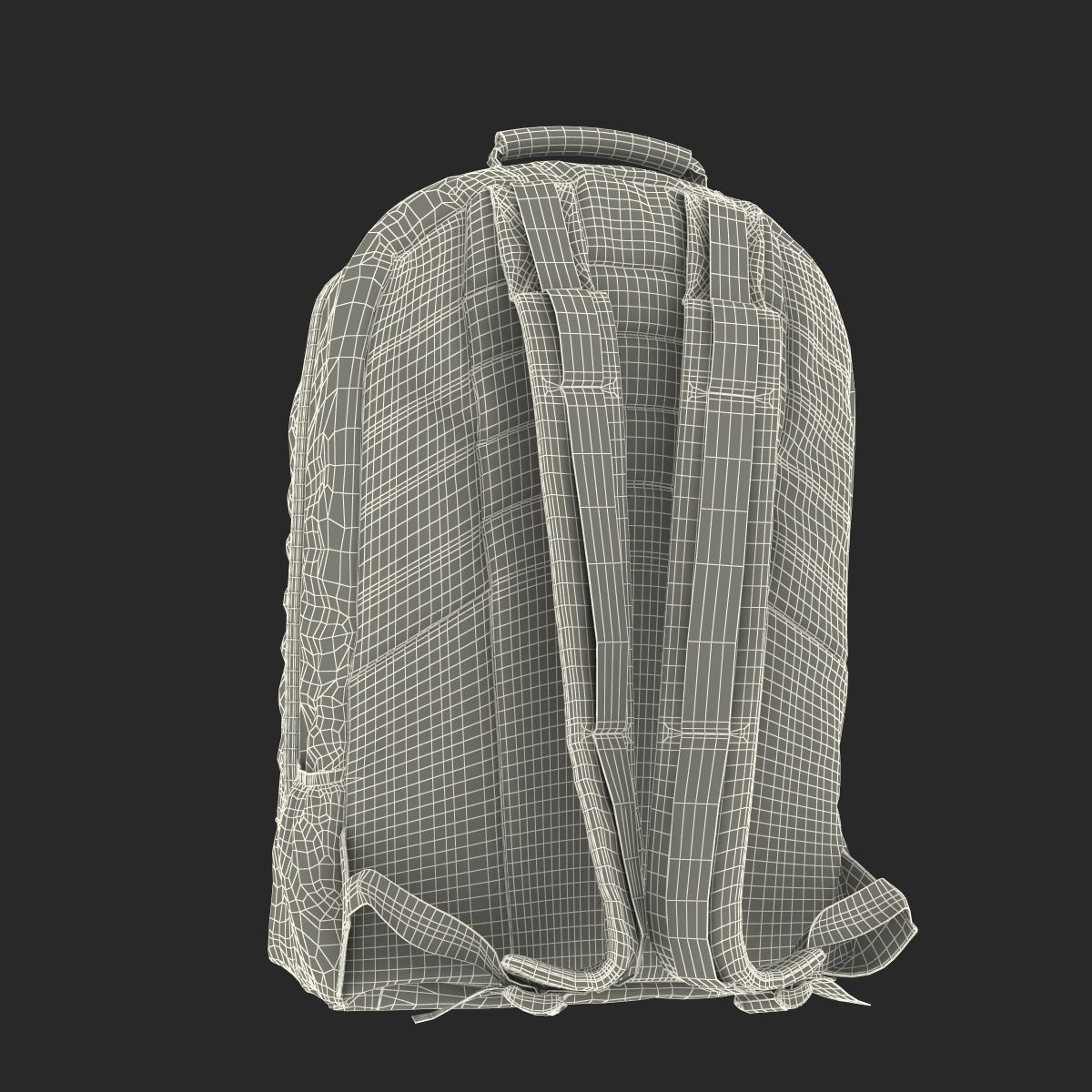 3D Backpack Generic