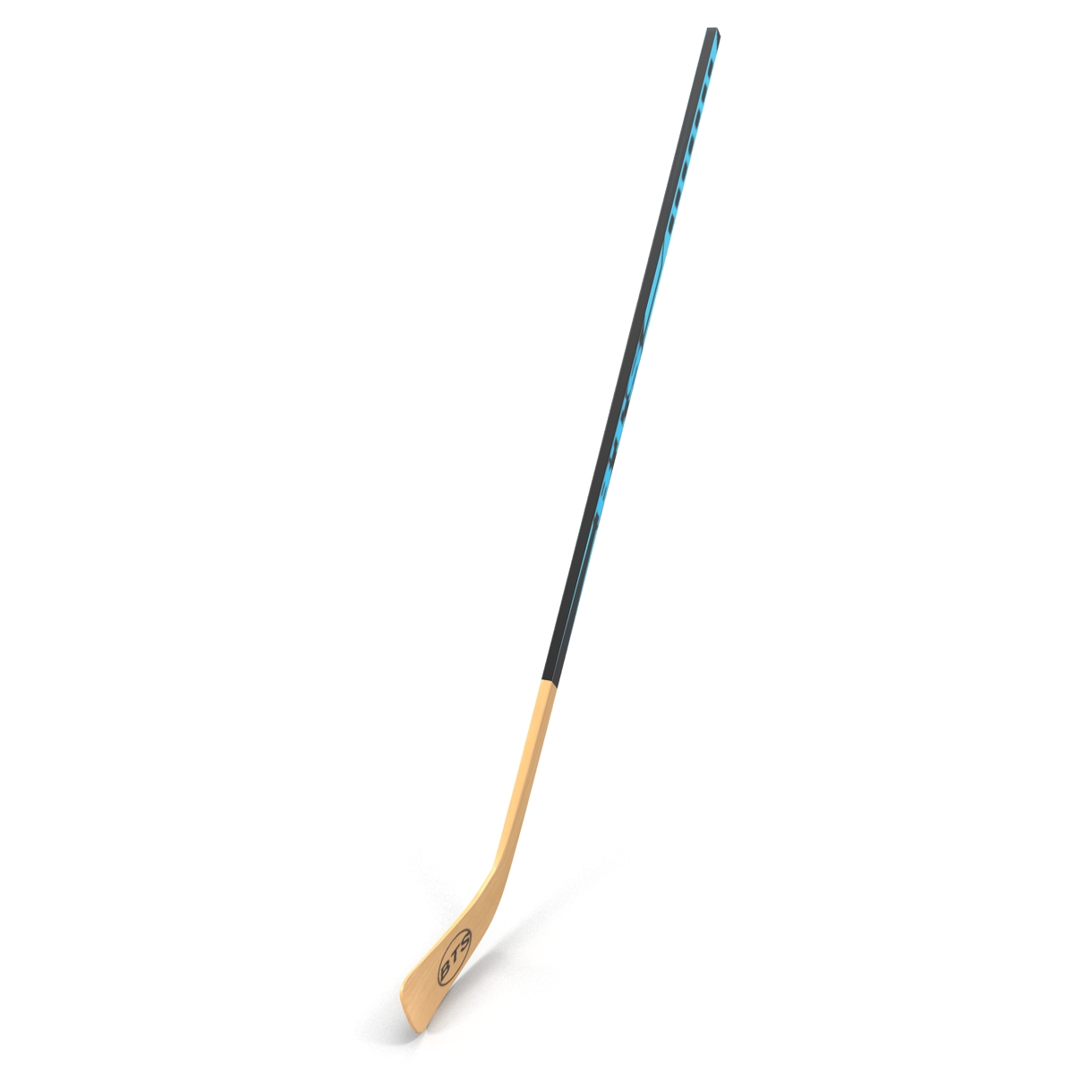 Hockey Stick 3D