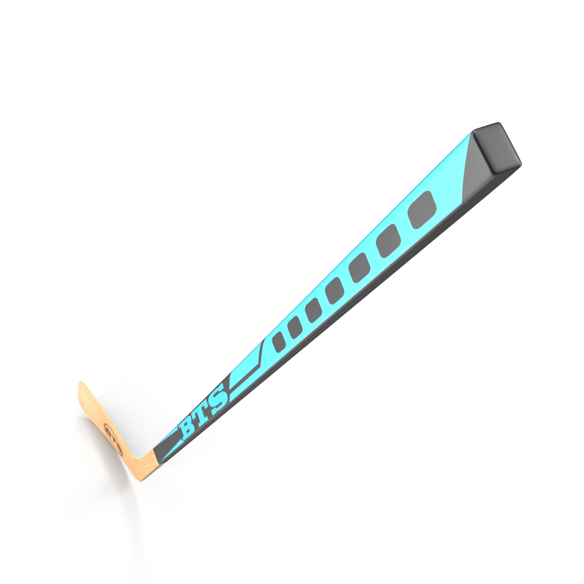 Hockey Stick 3D