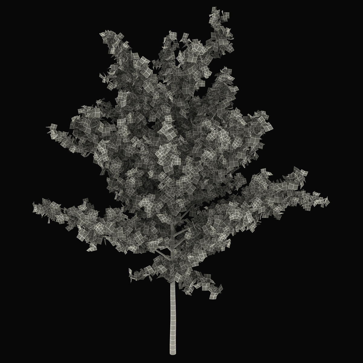 Young Tree Red Maple Autumn 3D