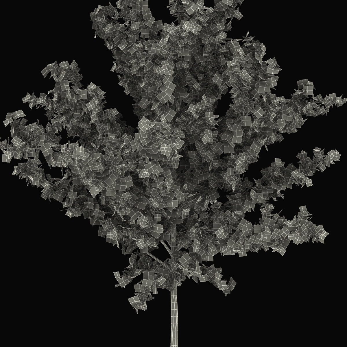 Young Tree Red Maple Autumn 3D