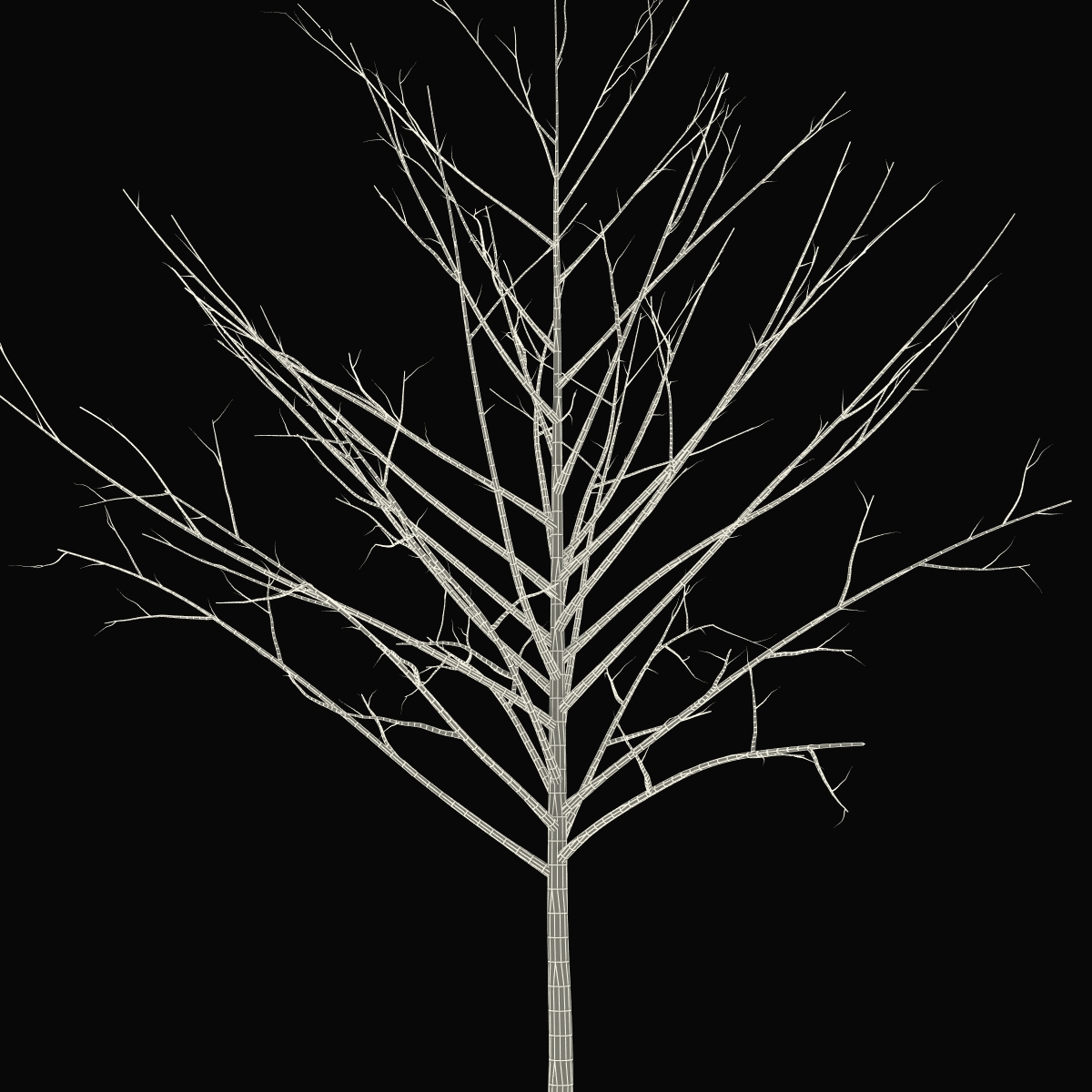 Young Tree Red Maple Winter 3D