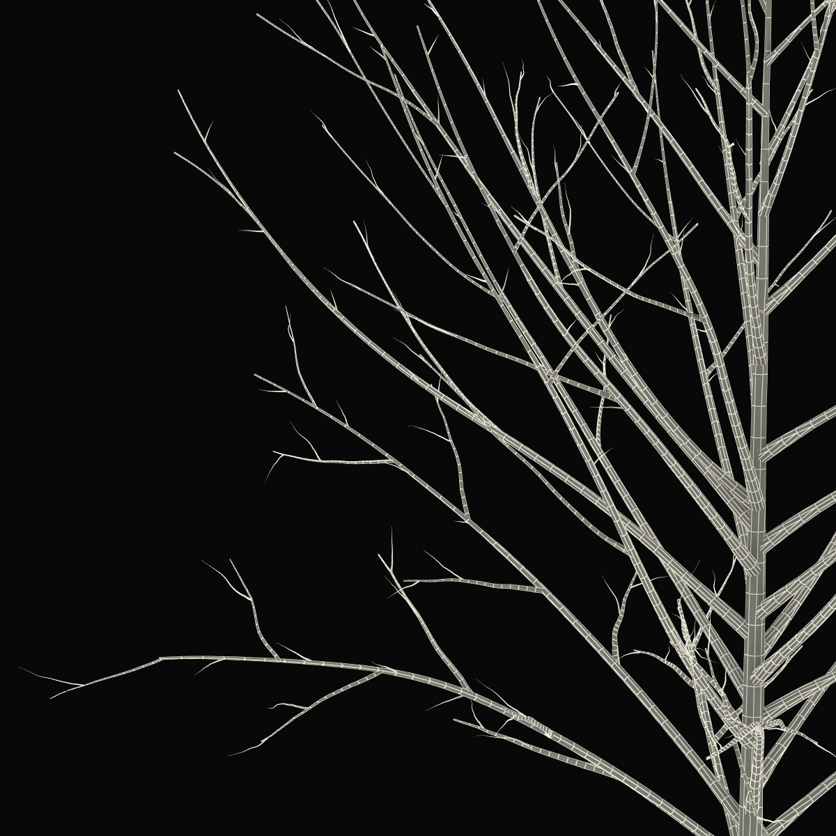 Young Tree Red Maple Winter 3D