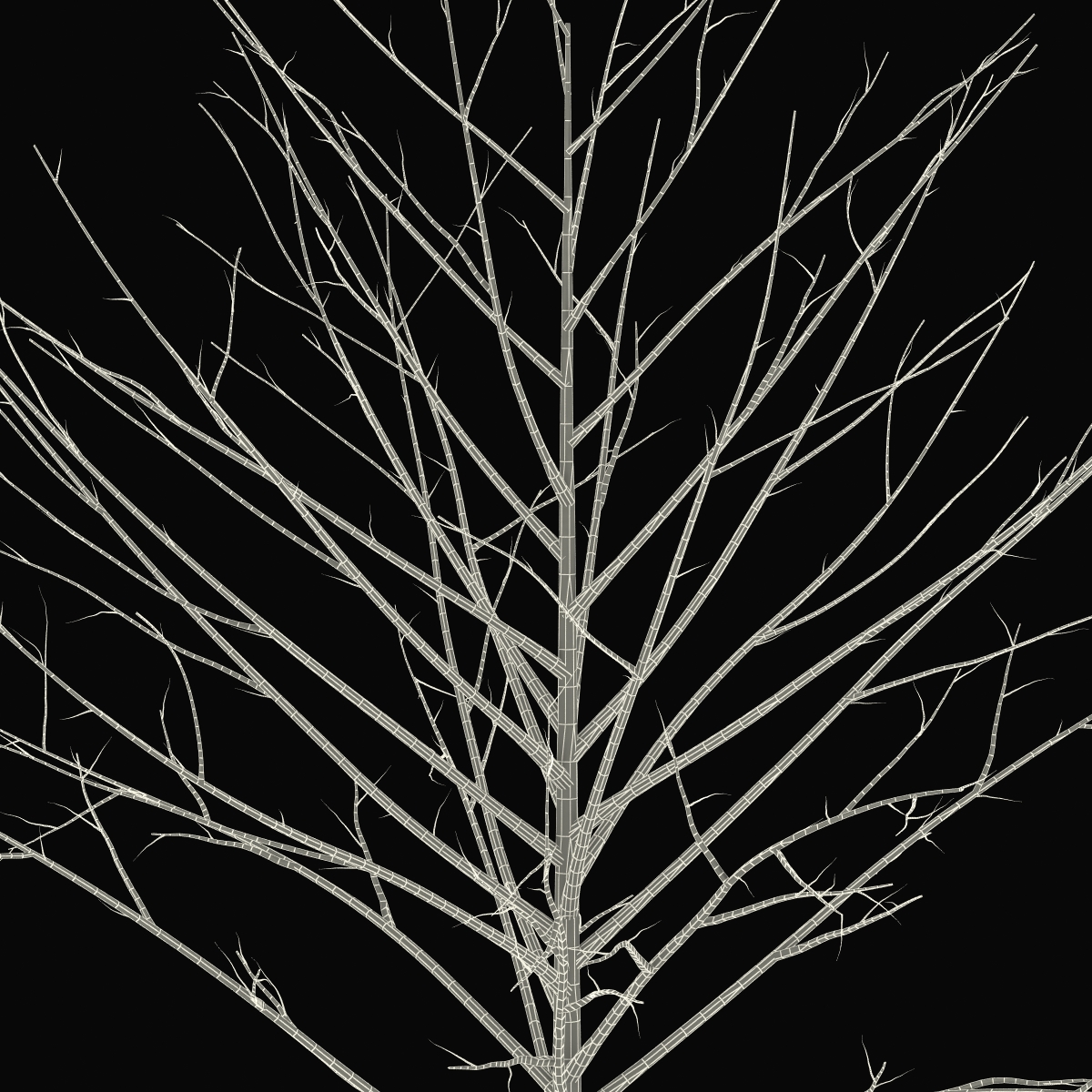 Young Tree Red Maple Winter 3D