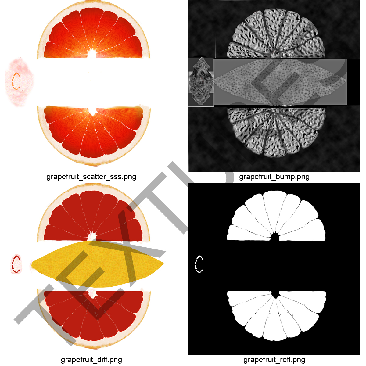 3D Grapefruit Slice 3 model