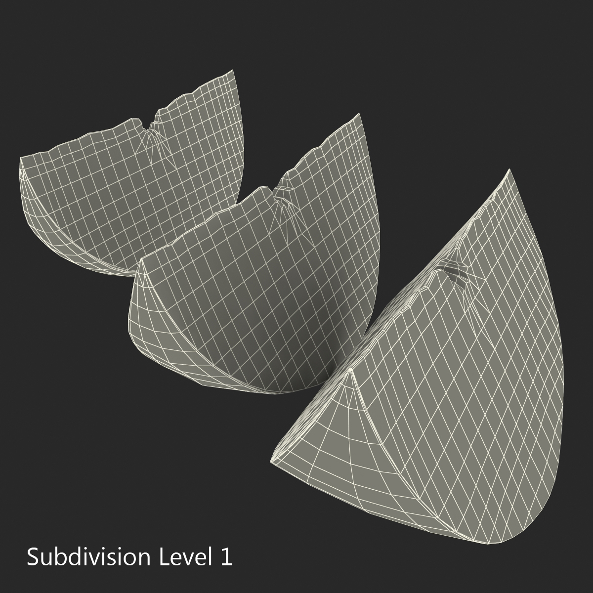 3D model Grapefruit Slice Set