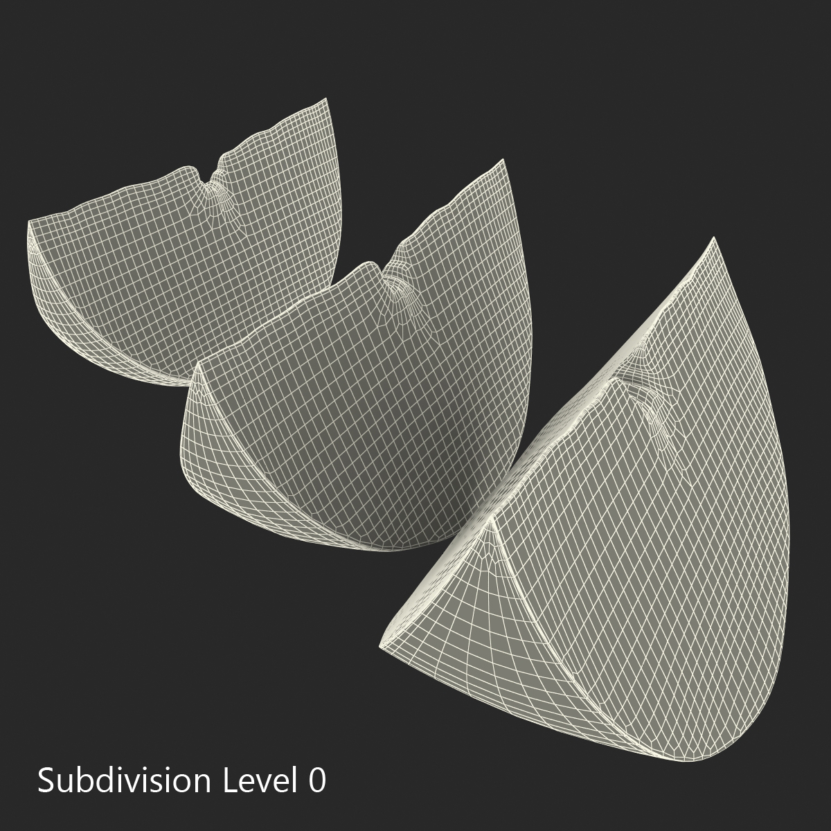 3D model Grapefruit Slice Set