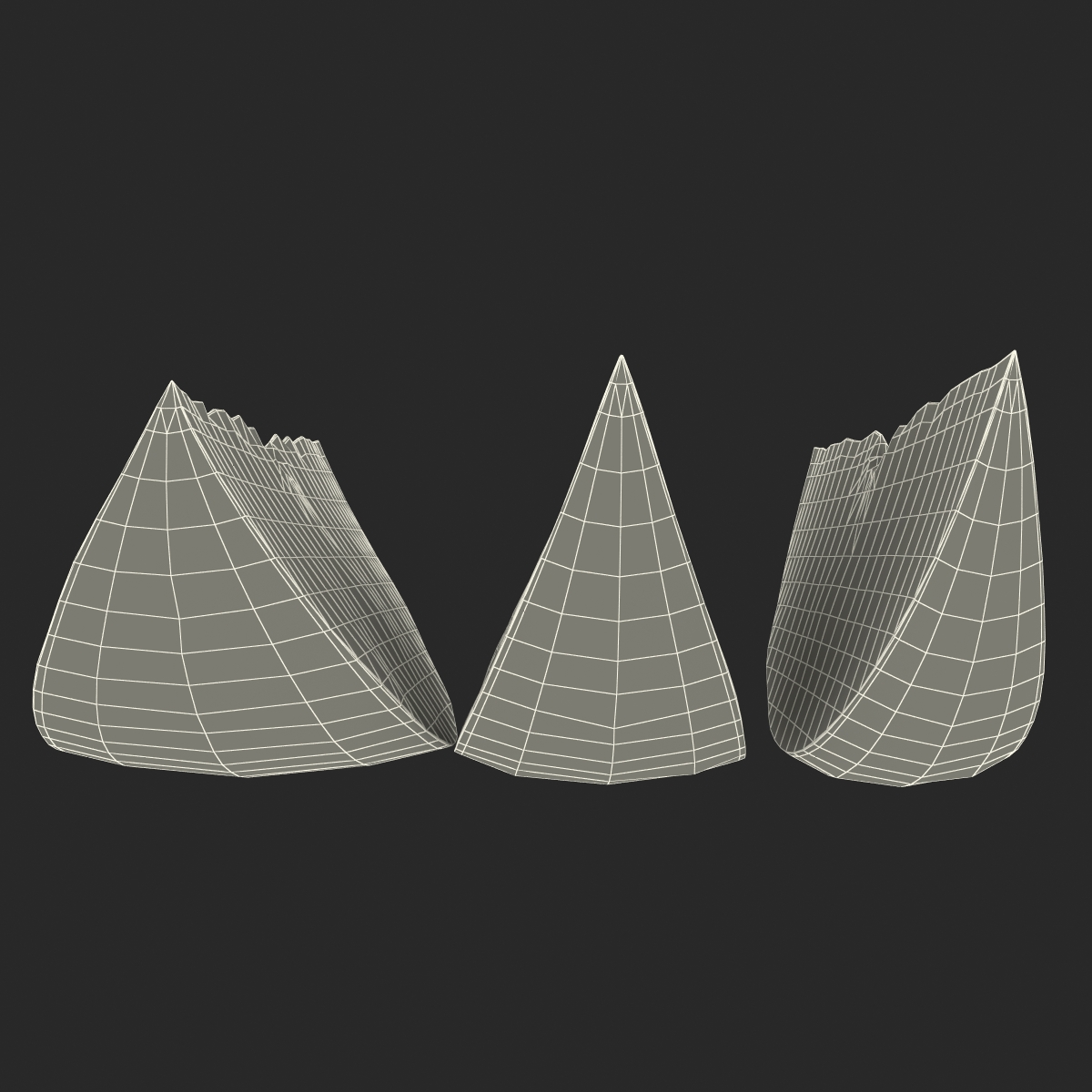 3D model Grapefruit Slice Set