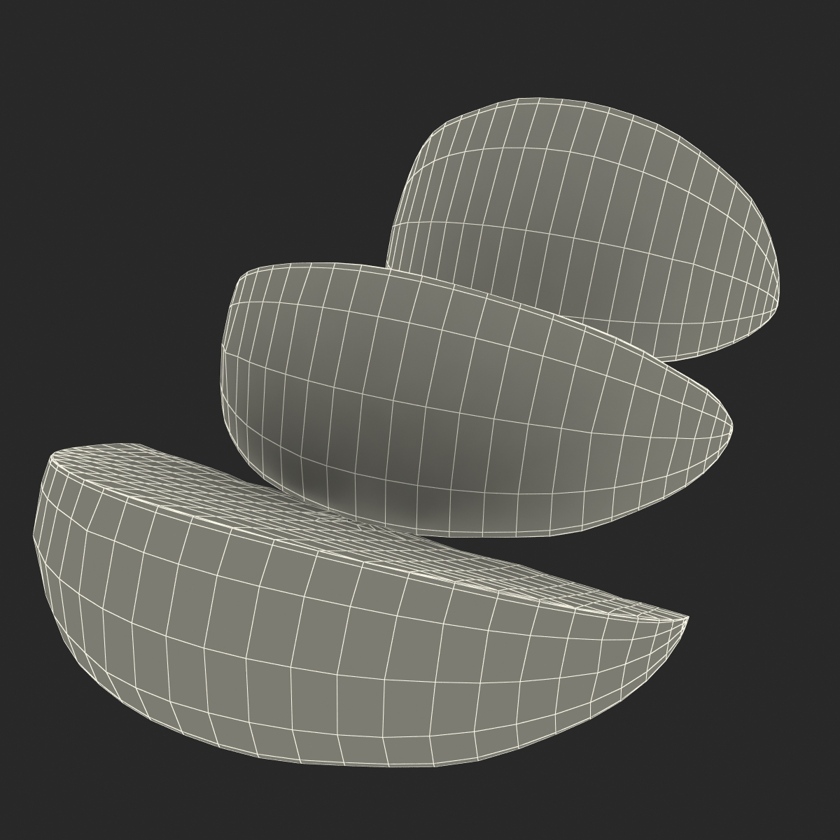 3D model Grapefruit Slice Set