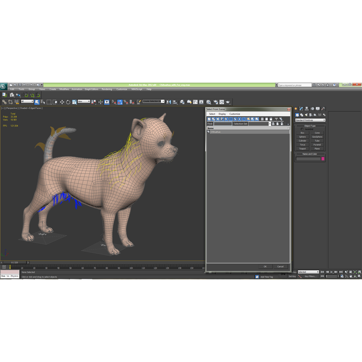 3D Chihuahua with Fur model