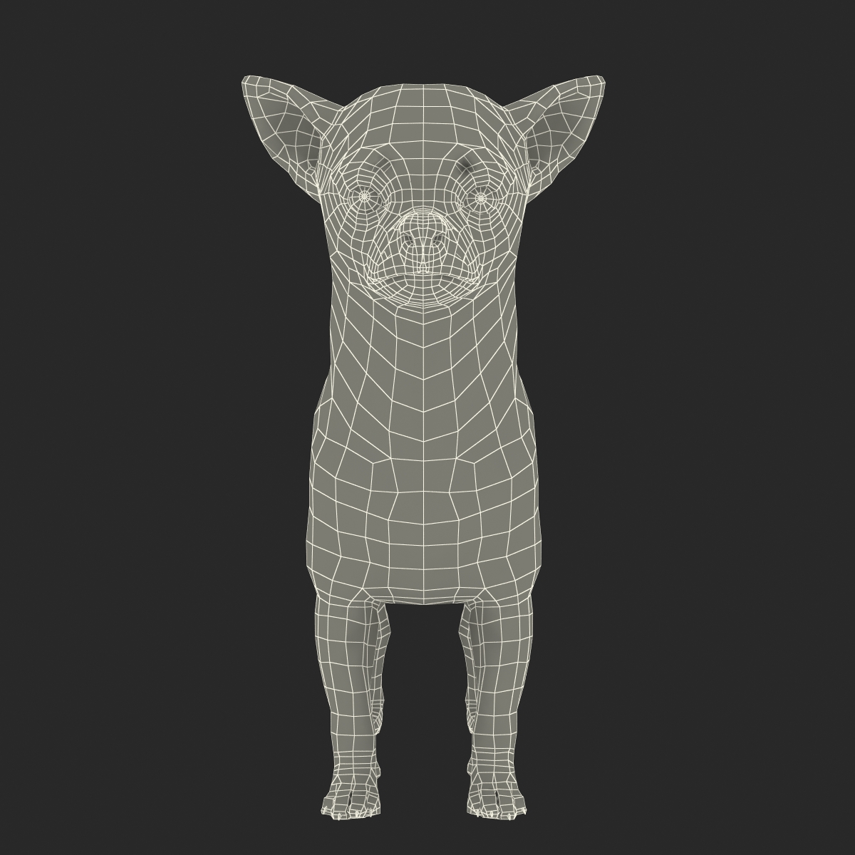 3D Chihuahua with Fur model