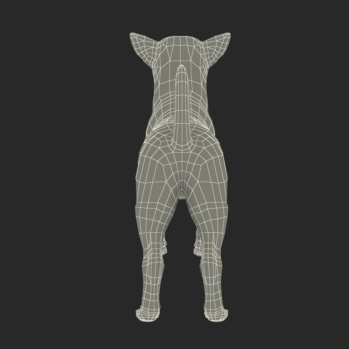 3D Chihuahua with Fur model