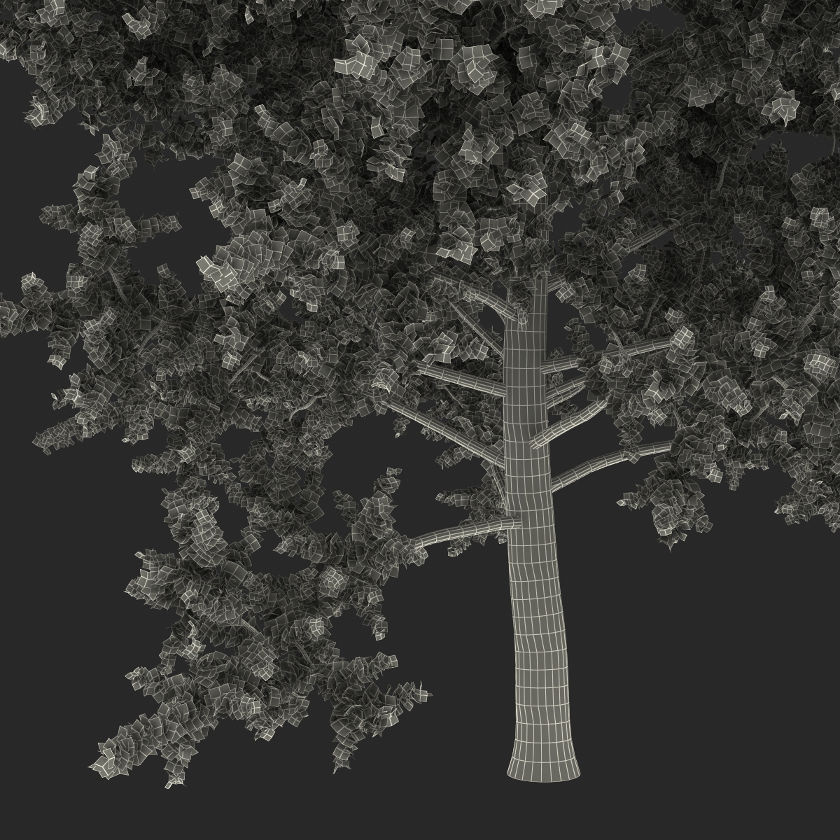 3D model Yellow Poplar Tree Autumn