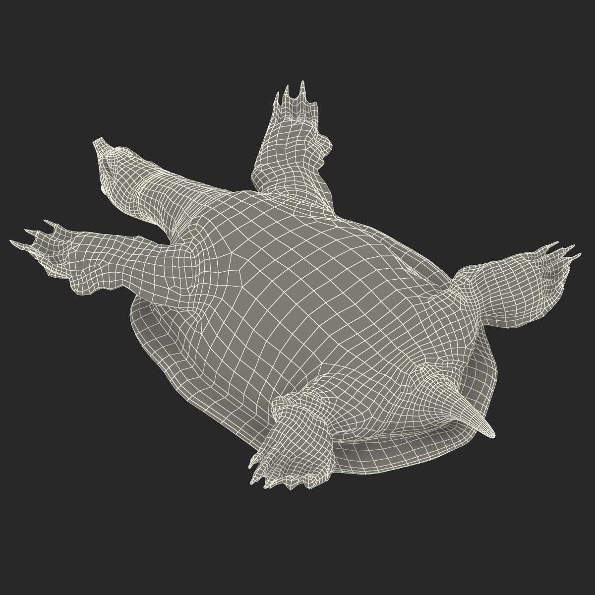 3D Chinese Softshell Turtle Rigged