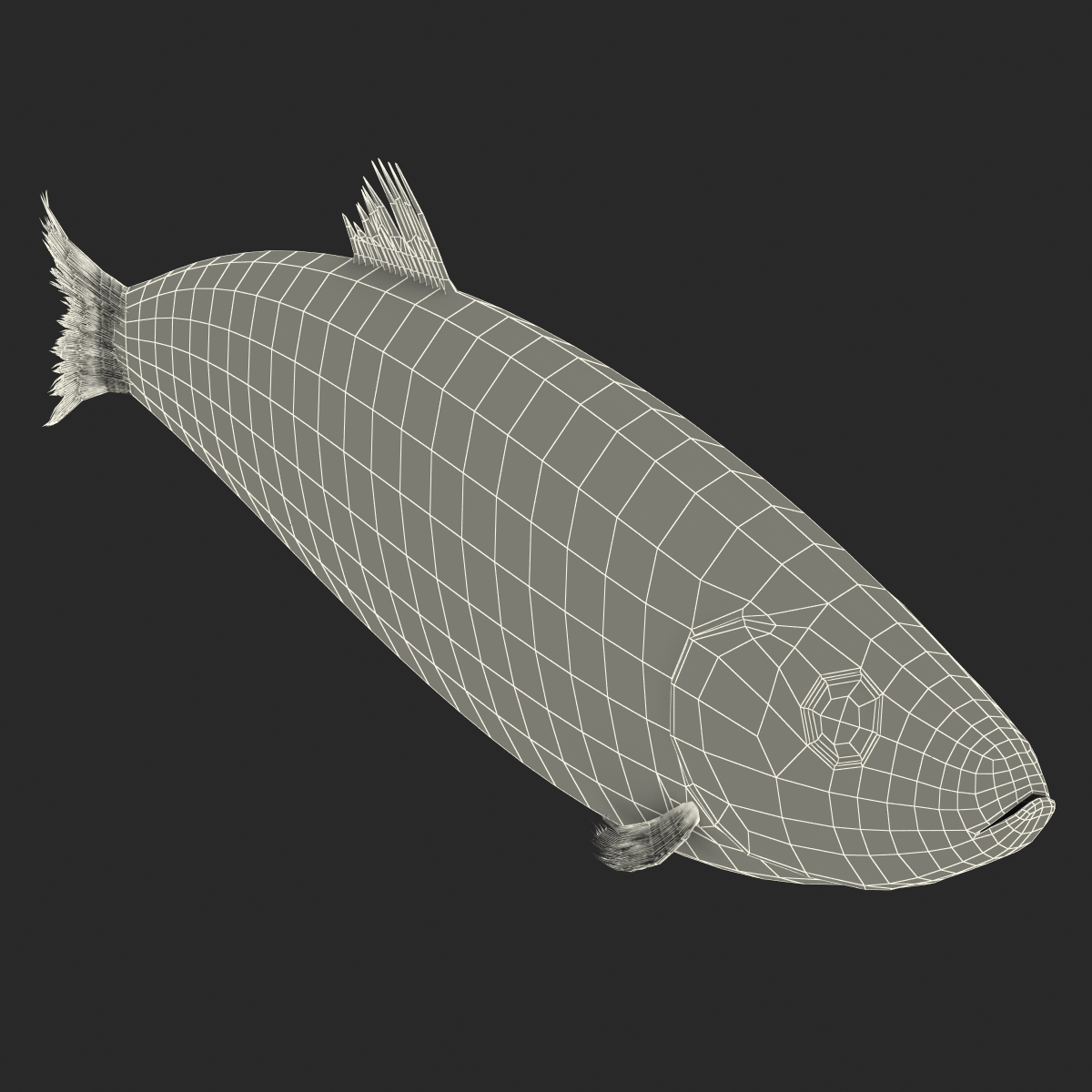 Herring Fish 3D