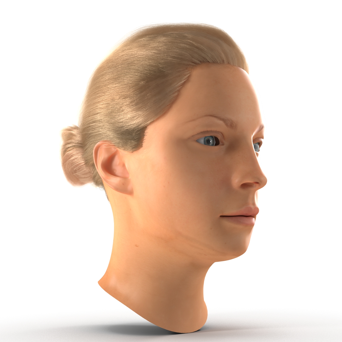 3D Female Caucasian Head