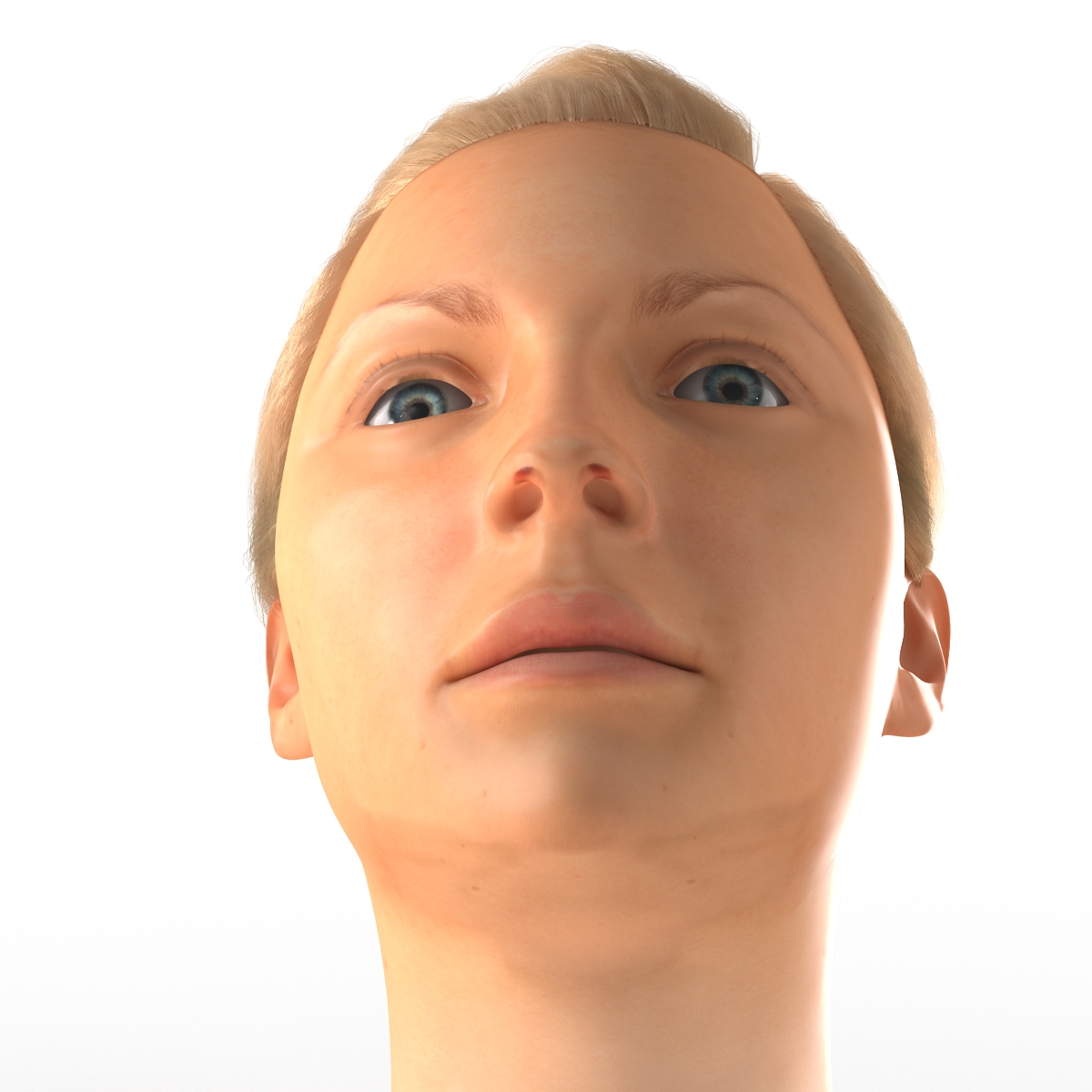 3D Female Caucasian Head