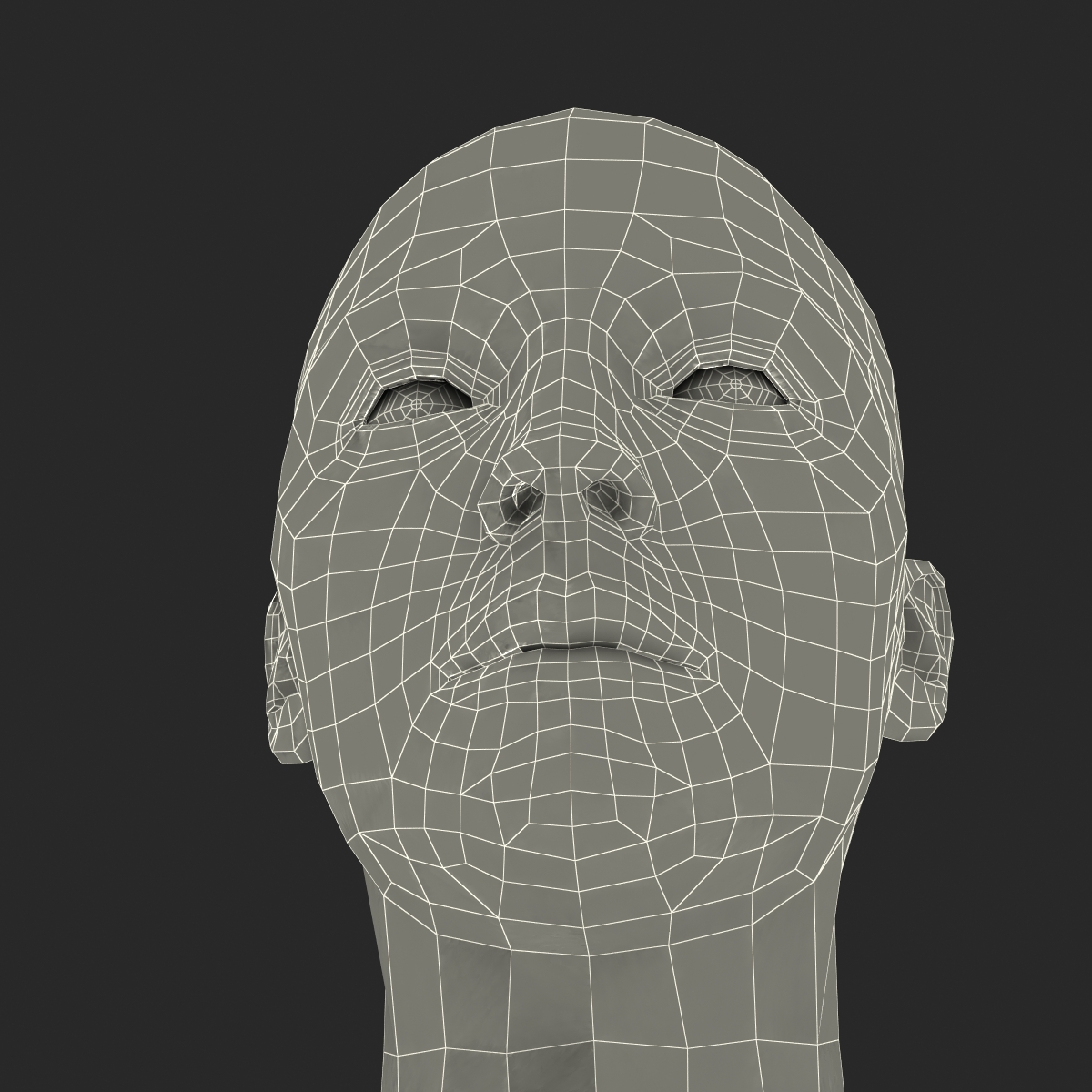 3D Female Caucasian Head