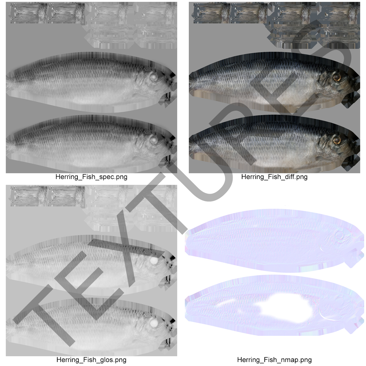 Herring Fish Rigged 3D model