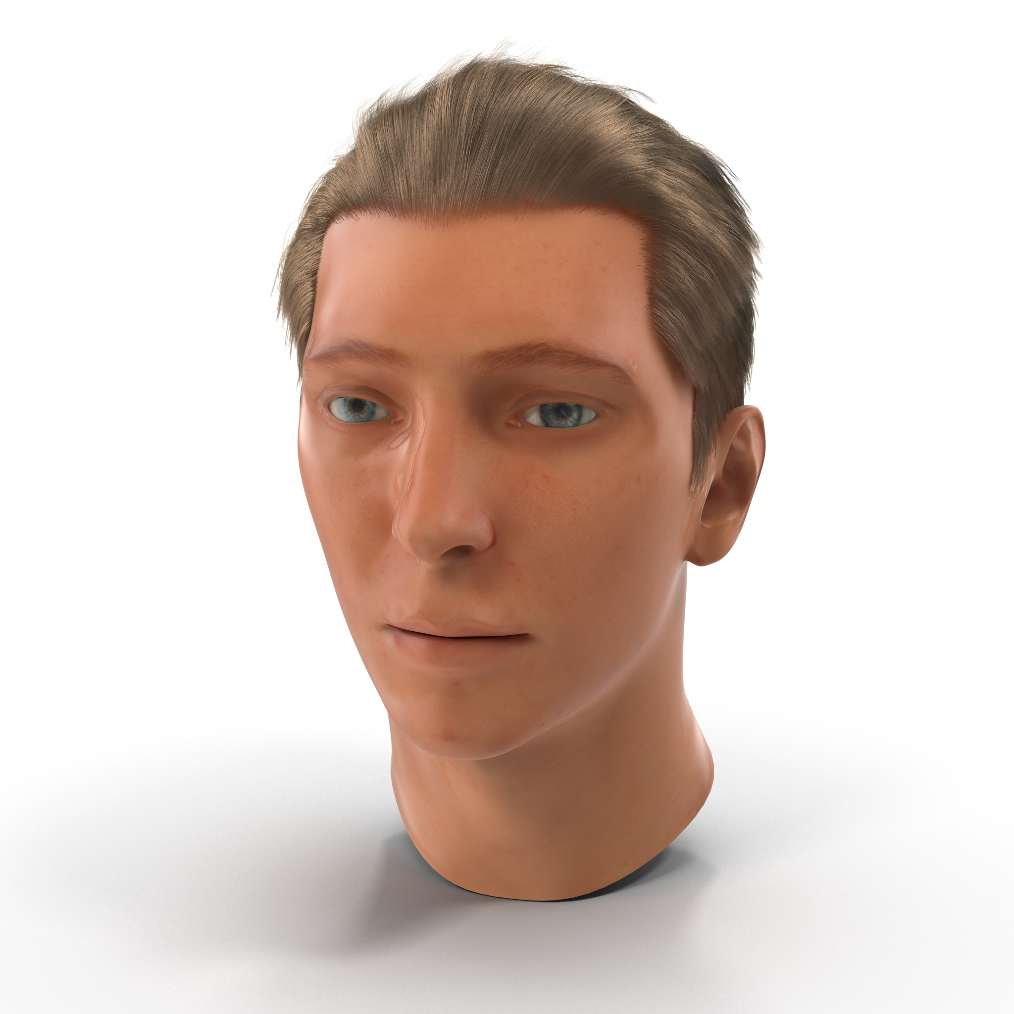 3D Male Head with Hair 2