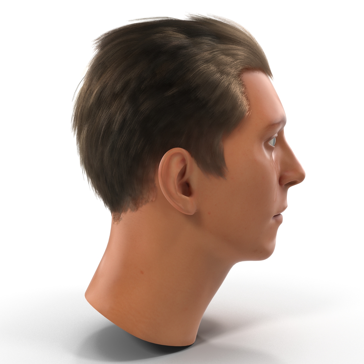 3D Male Head with Hair 2