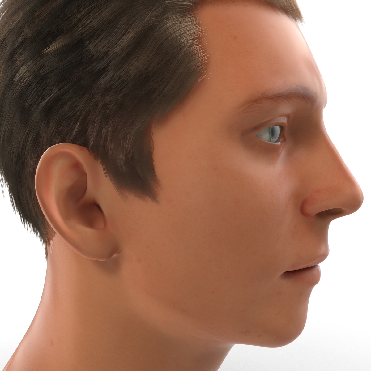 3D Male Head with Hair 2