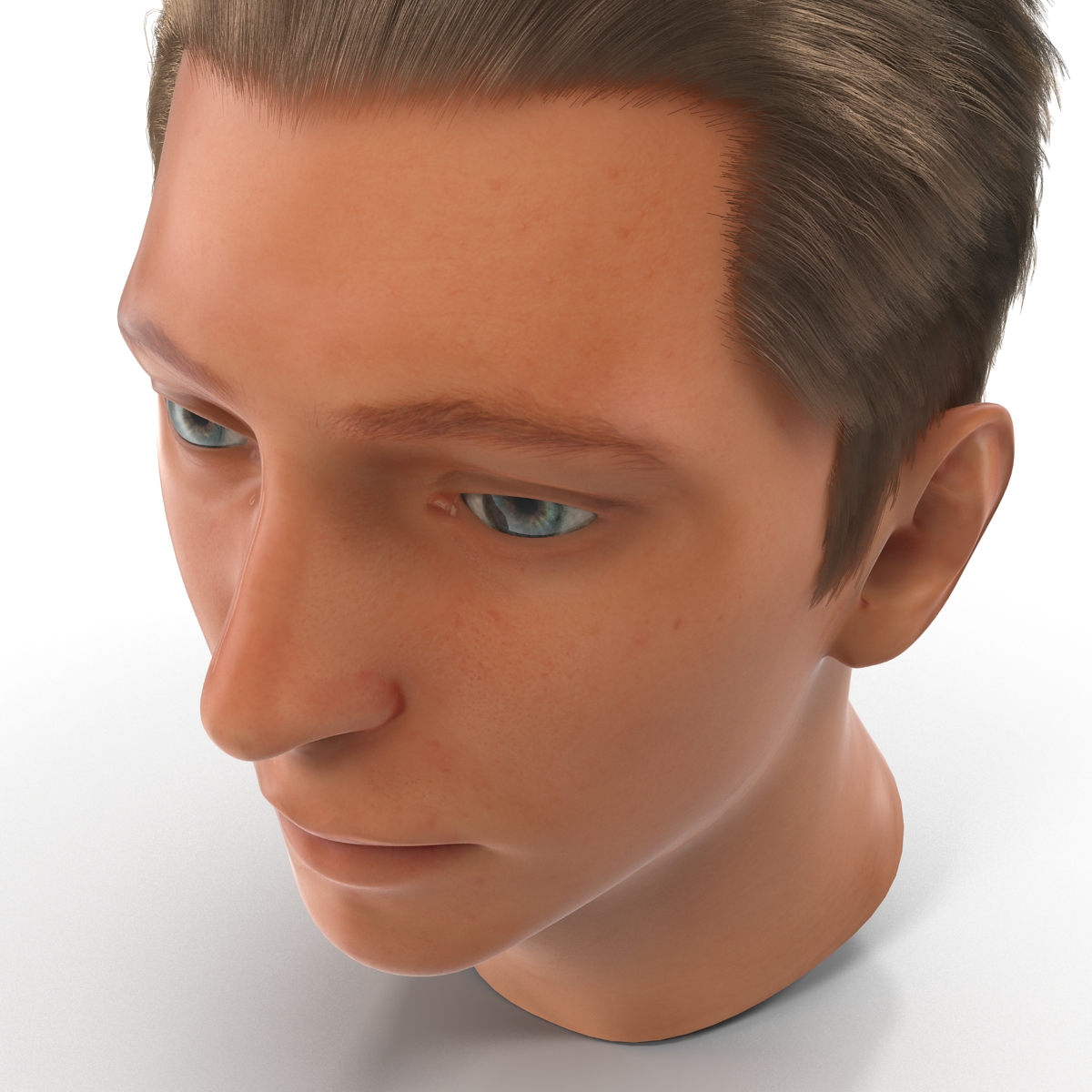 3D Male Head with Hair 2