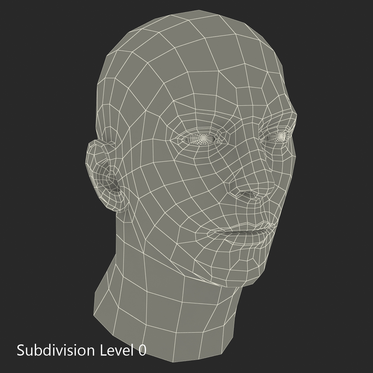 3D Male Head with Hair 2