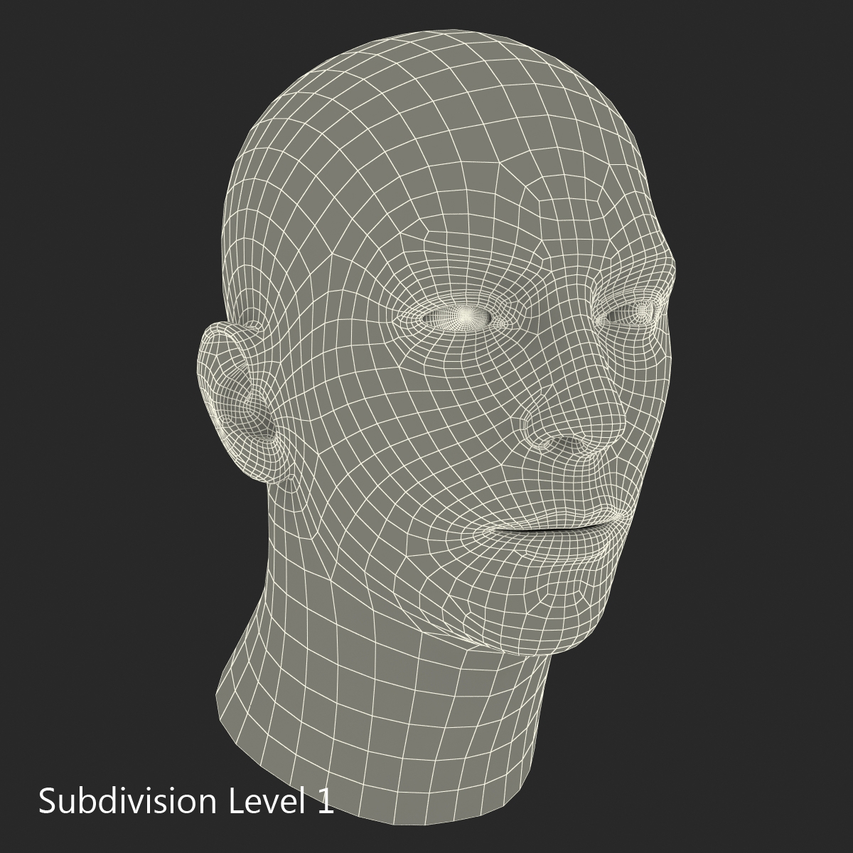 3D Male Head with Hair 2