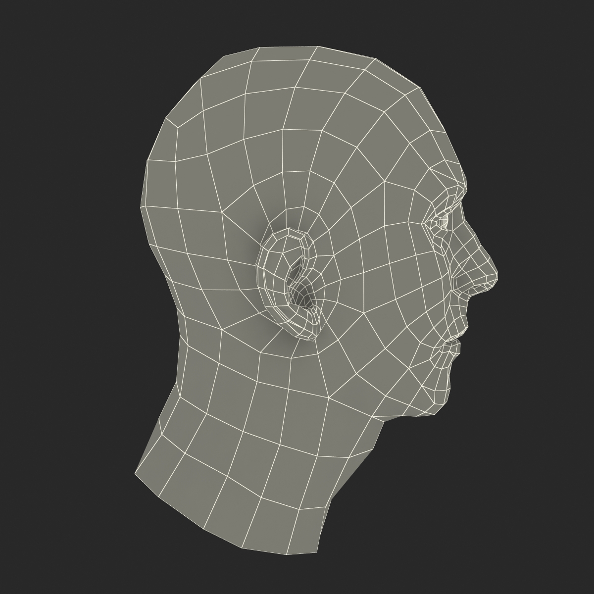 3D Male Head with Hair 2