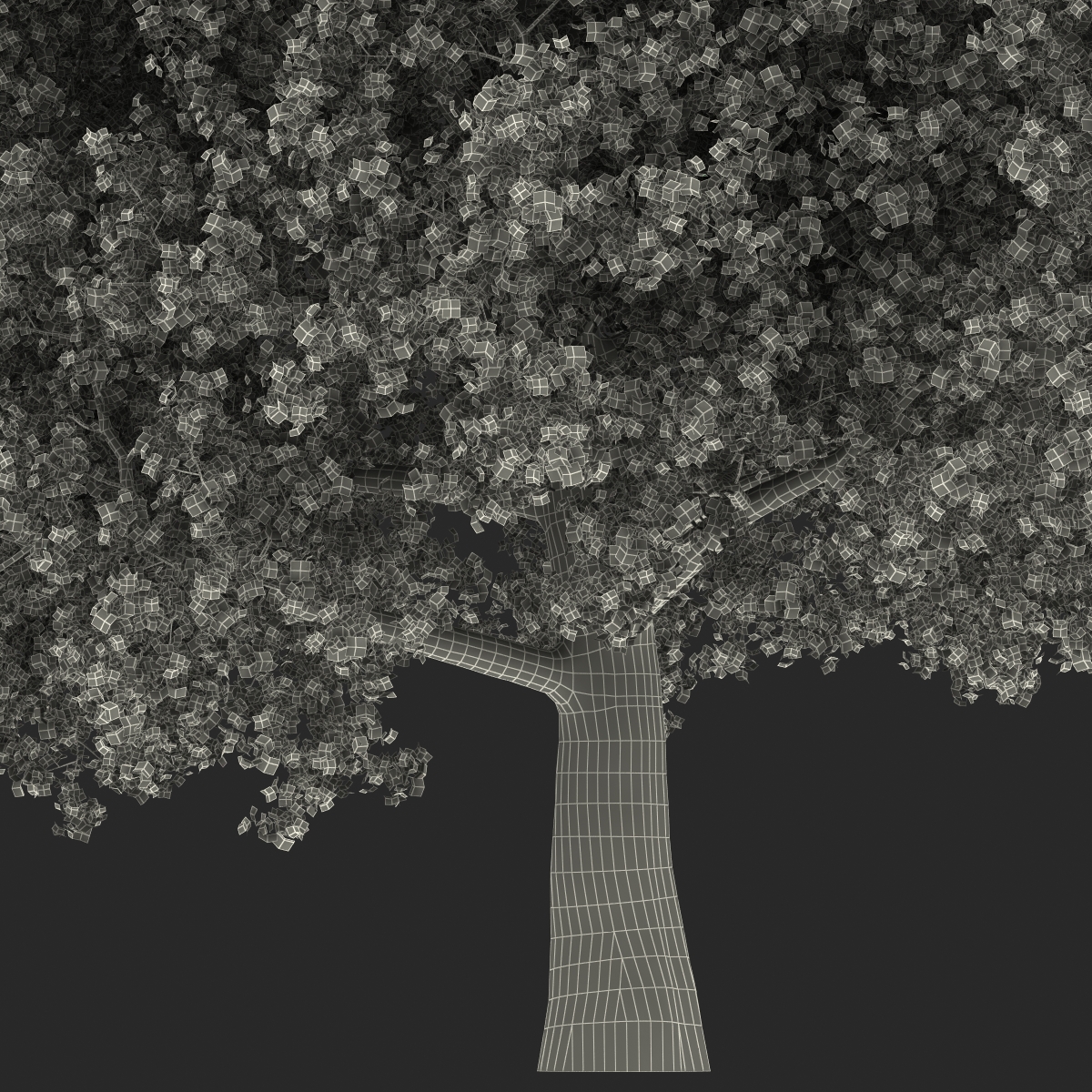 Yellow Poplar Old Tree Autumn 3D model