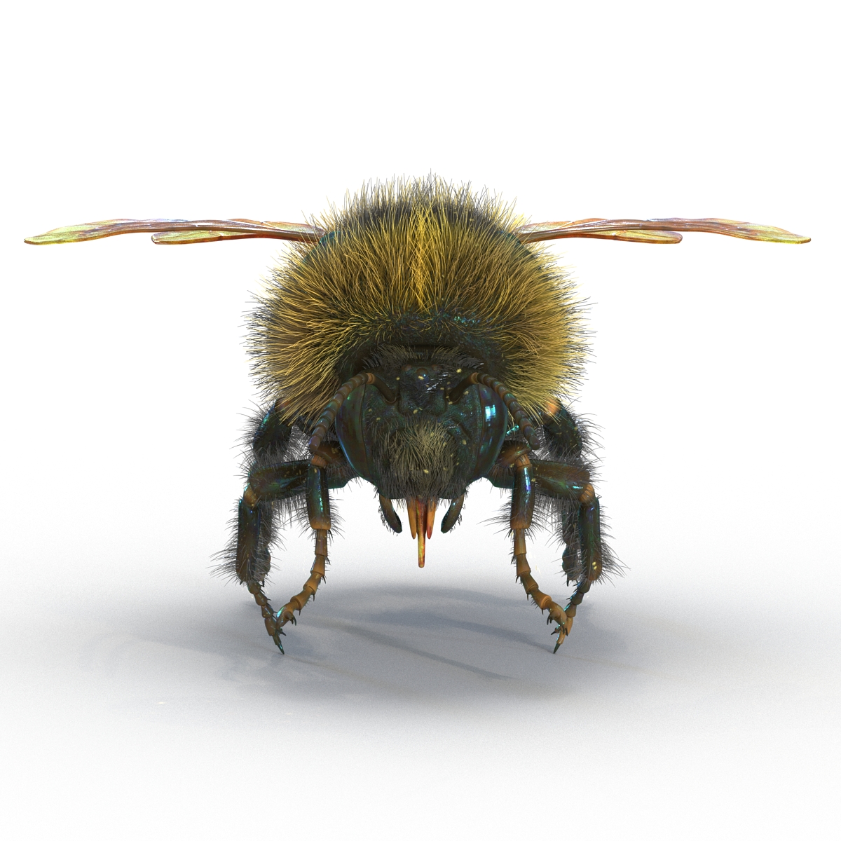 3D Bumblebee Rigged