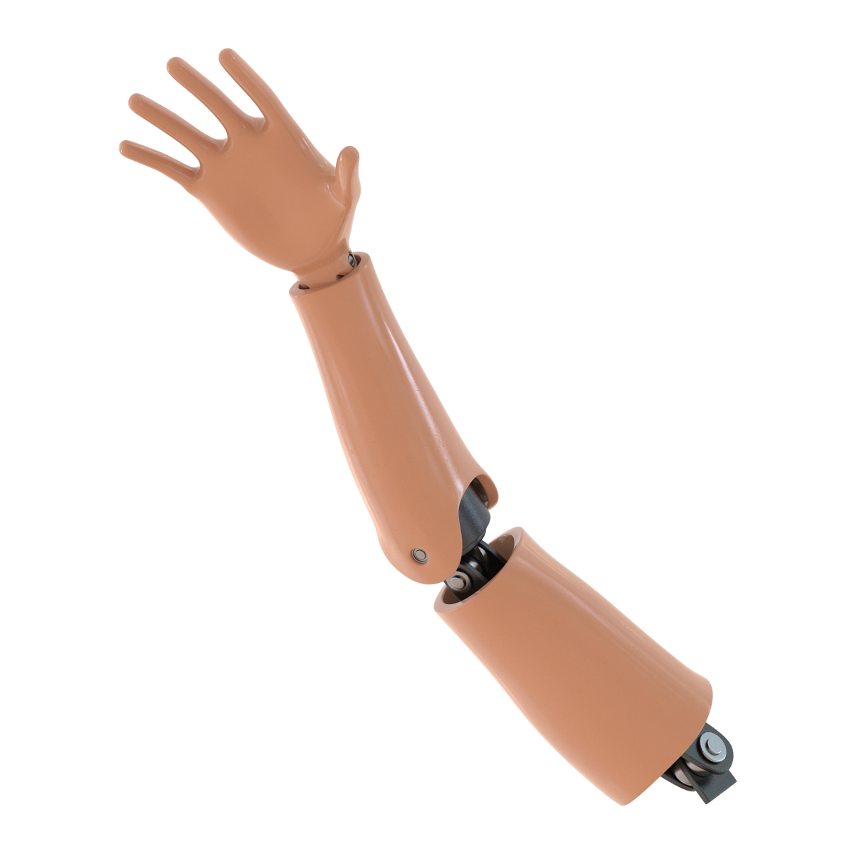 3D Crash Test Dummy Hand