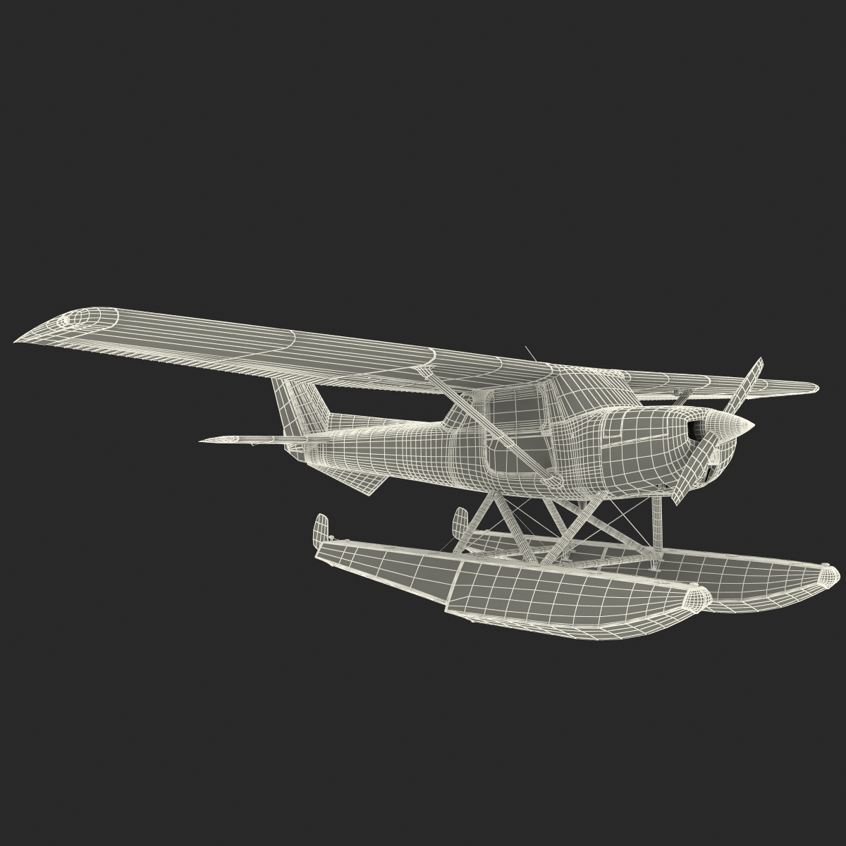 3D Cessna 150 Seaplane Rigged