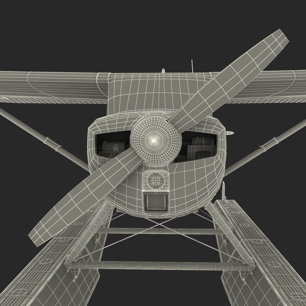 3D Cessna 150 Seaplane Rigged 2 model